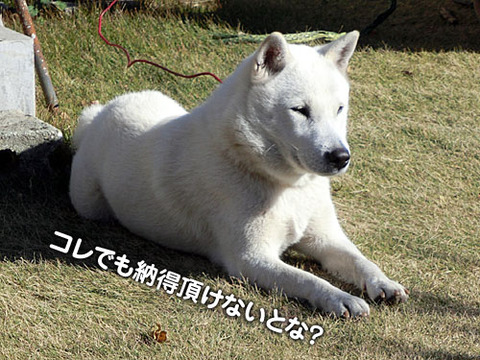 2012122003