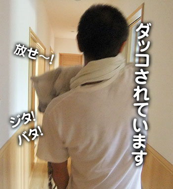 2011051804