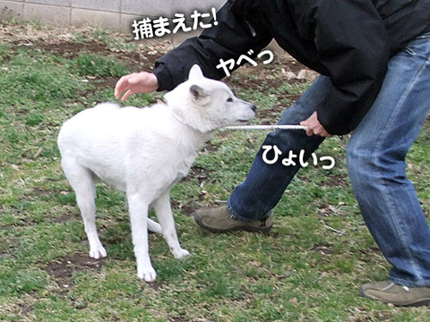 2011031004