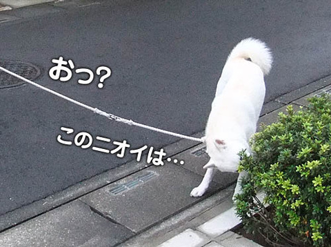2010101403