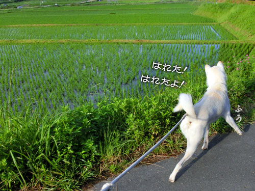2015070504