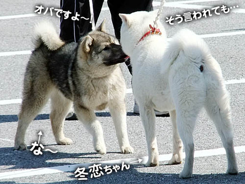 2011031407