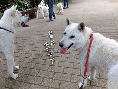 2013052906