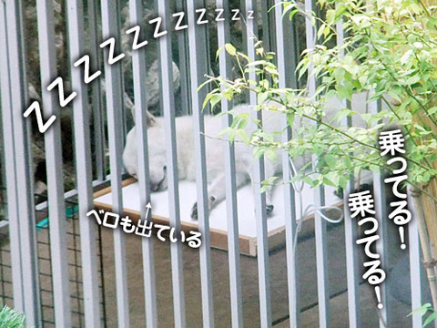 2011070407