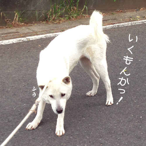 2015051306