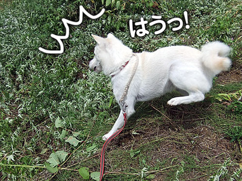 2011080113