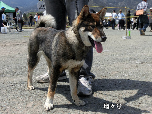 2014043013