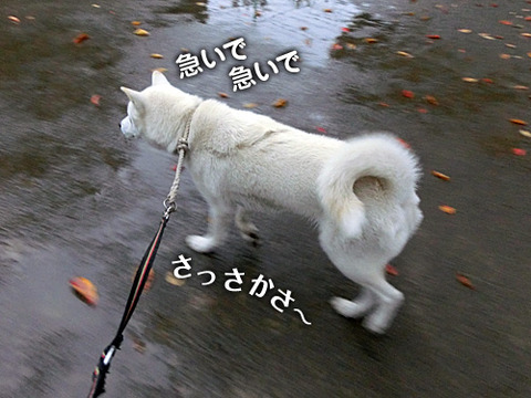 2012112602