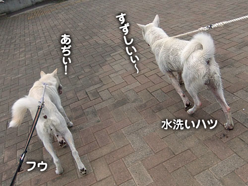 24d5b6d9.jpg