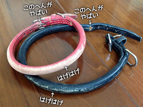 2014052101