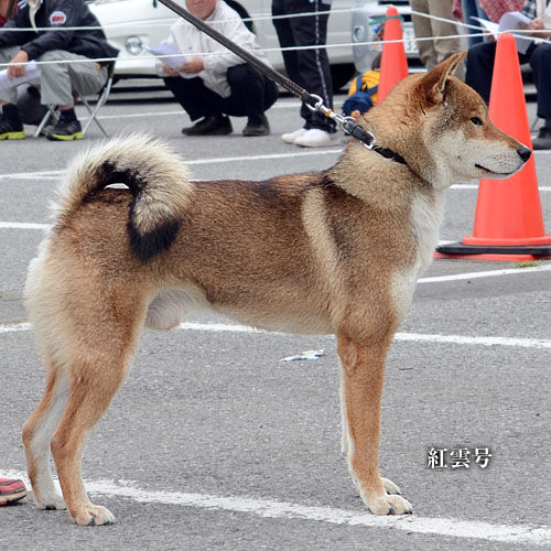 2016051615