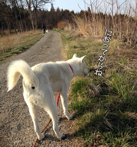 2013040107