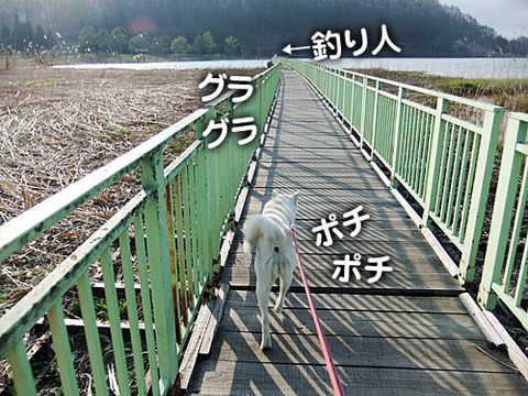 2011051010