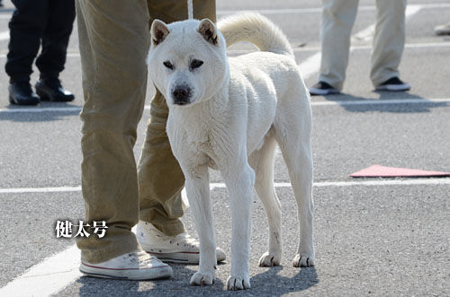 2014031111