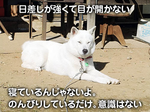 2010121404