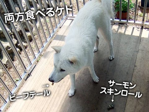 2011051811