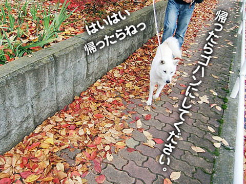 2010111608