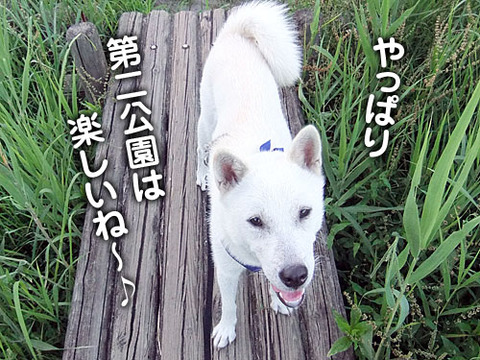 2011071410