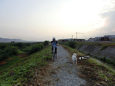 2013082004
