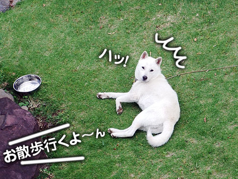 2011060302