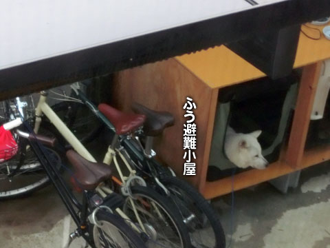 2014081002
