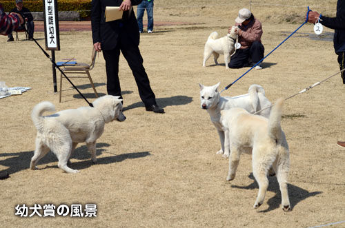 2014031801