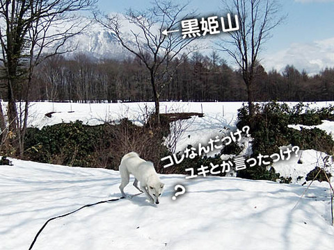 2011041701
