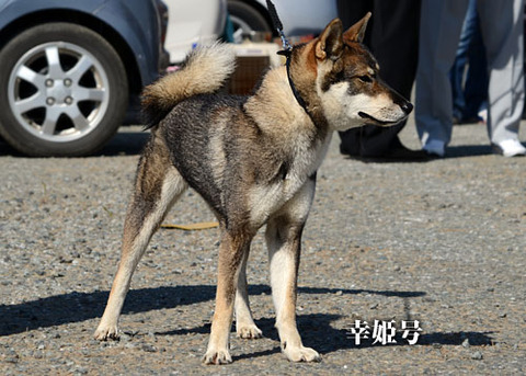 2013101704