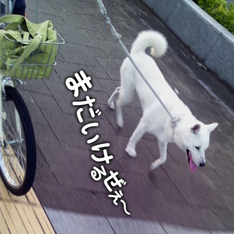 2011101602