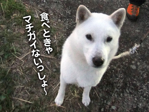 2011112403