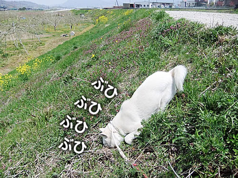 2011051005
