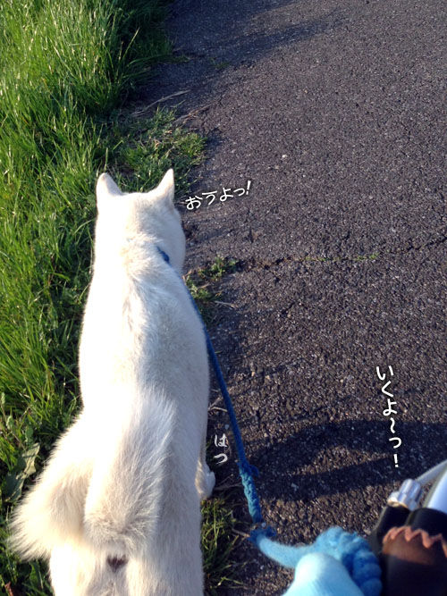 2015042105