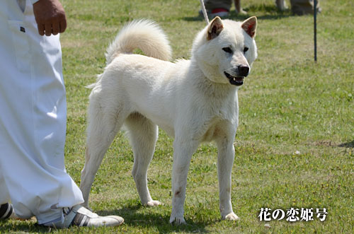 2014050802