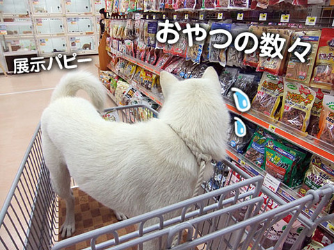 2011060403