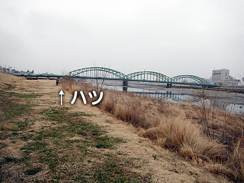 2c9935a9.jpg