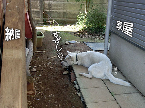 2014061601
