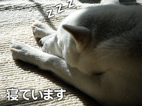 2011120806