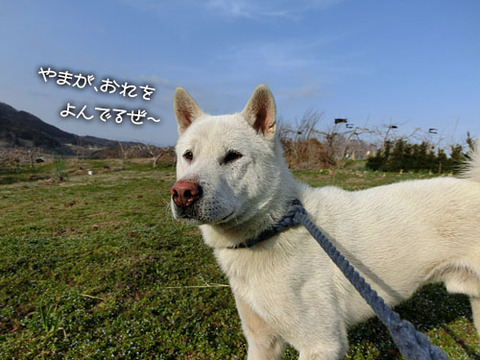 2013040102