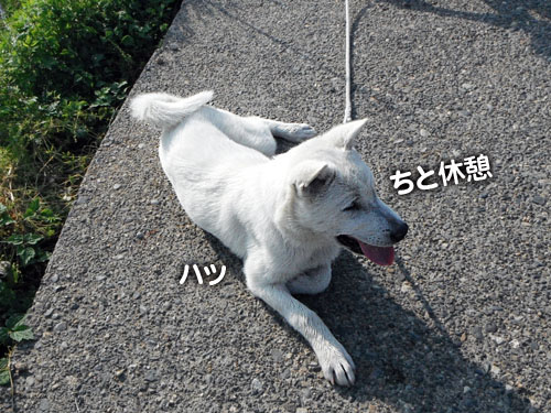 2df65572.jpg