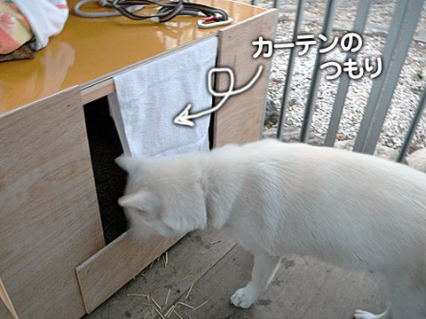 2011122105