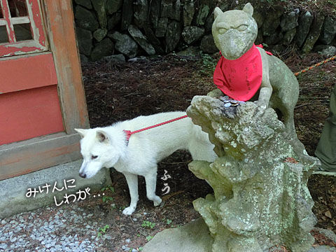2014062206