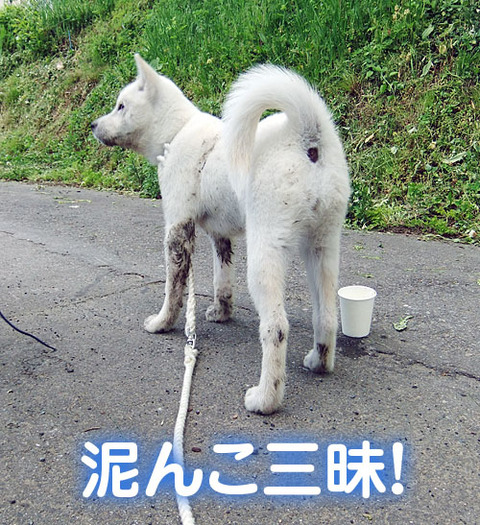 2010060602