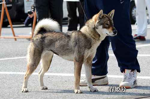 2014031205