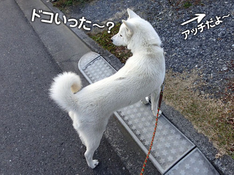 2012120714