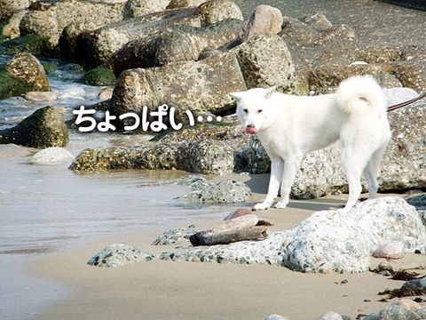 2011101007
