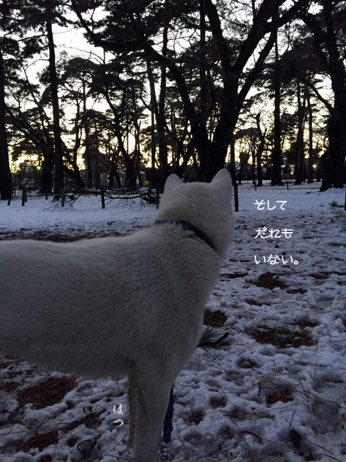 2016011904