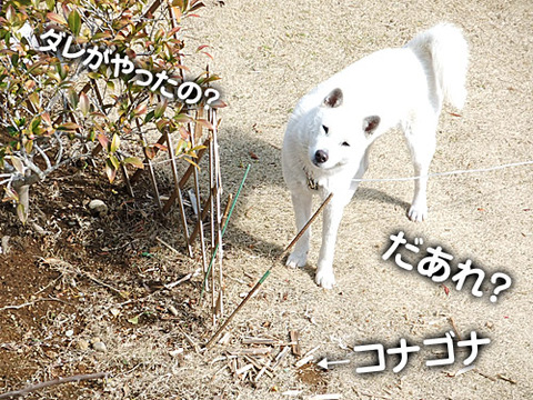 2011022201