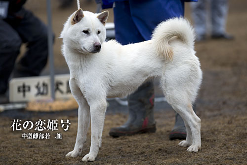 2014030508