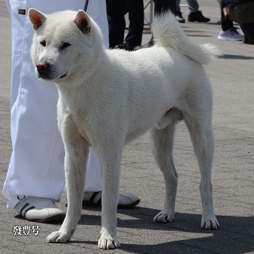 2018040907