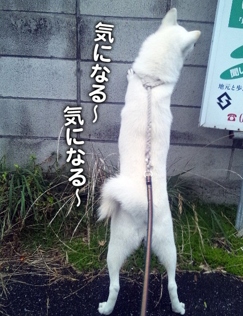 2011101605